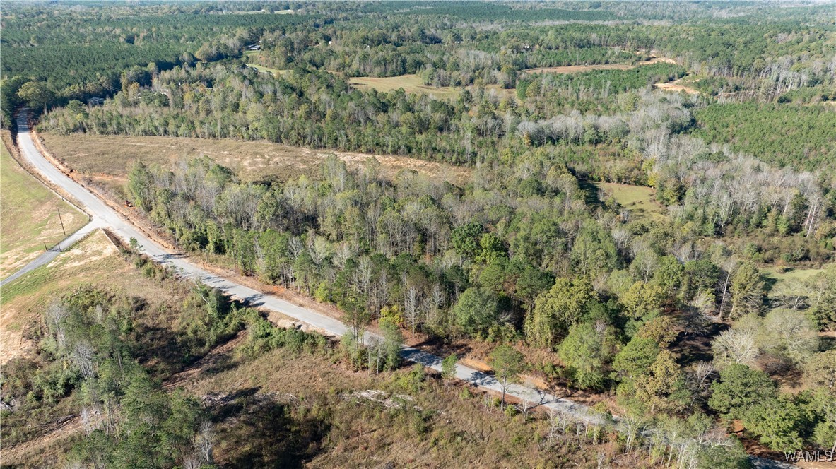 Harless Road, North Port, Alabama image 9