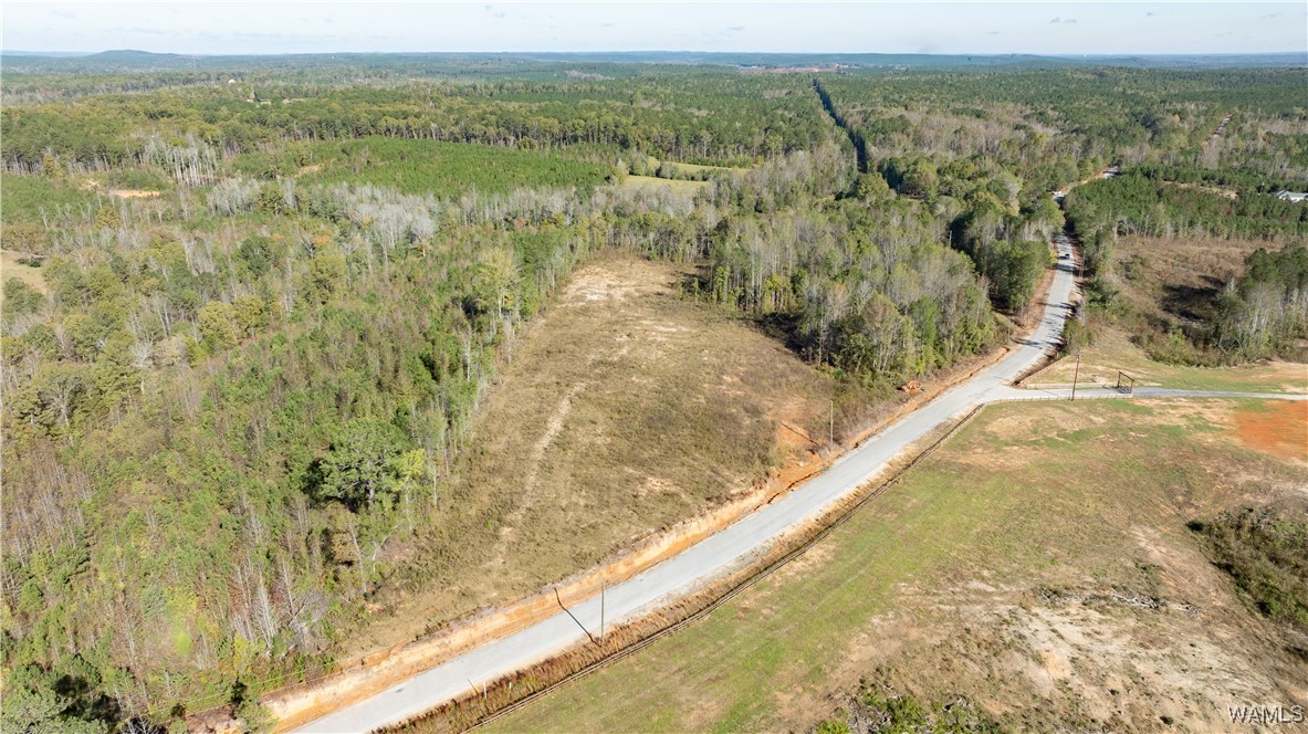 Harless Road, North Port, Alabama image 2