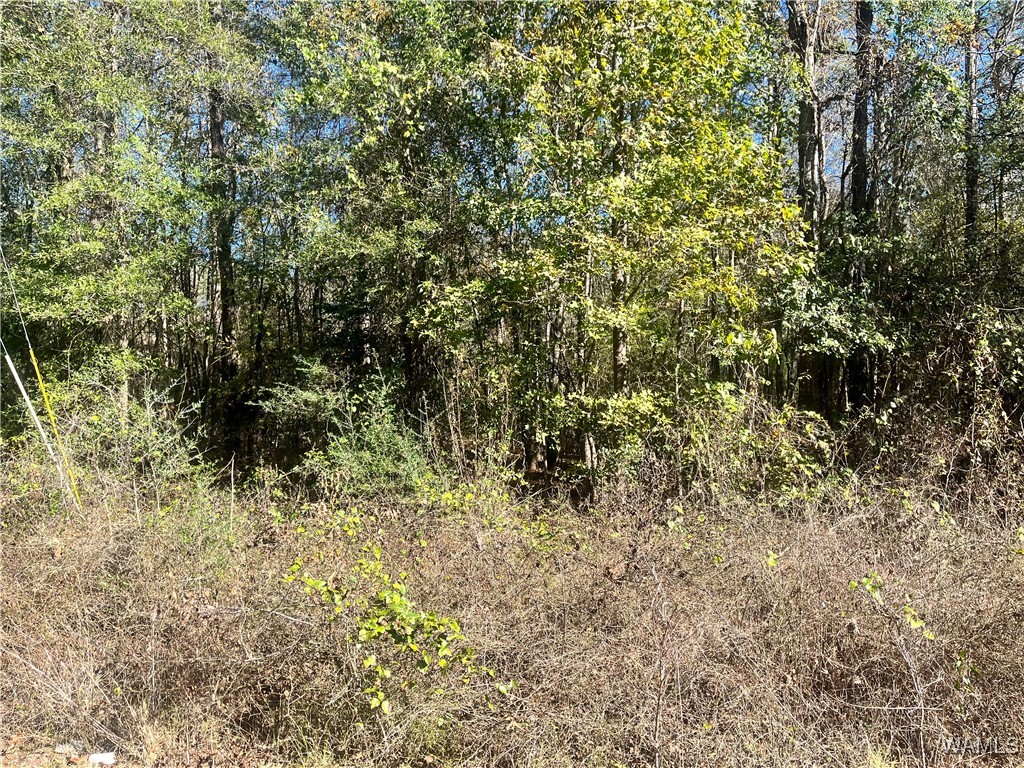 LOT #17 Roebuck Landing Road, Akron, Alabama image 3