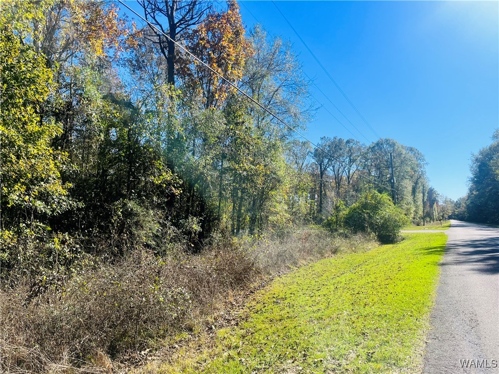 LOT #17 Roebuck Landing Road, Akron, Alabama image 1