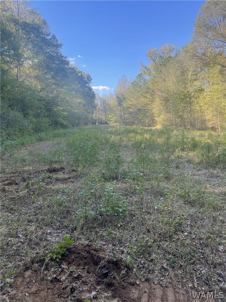 0 County Road 93