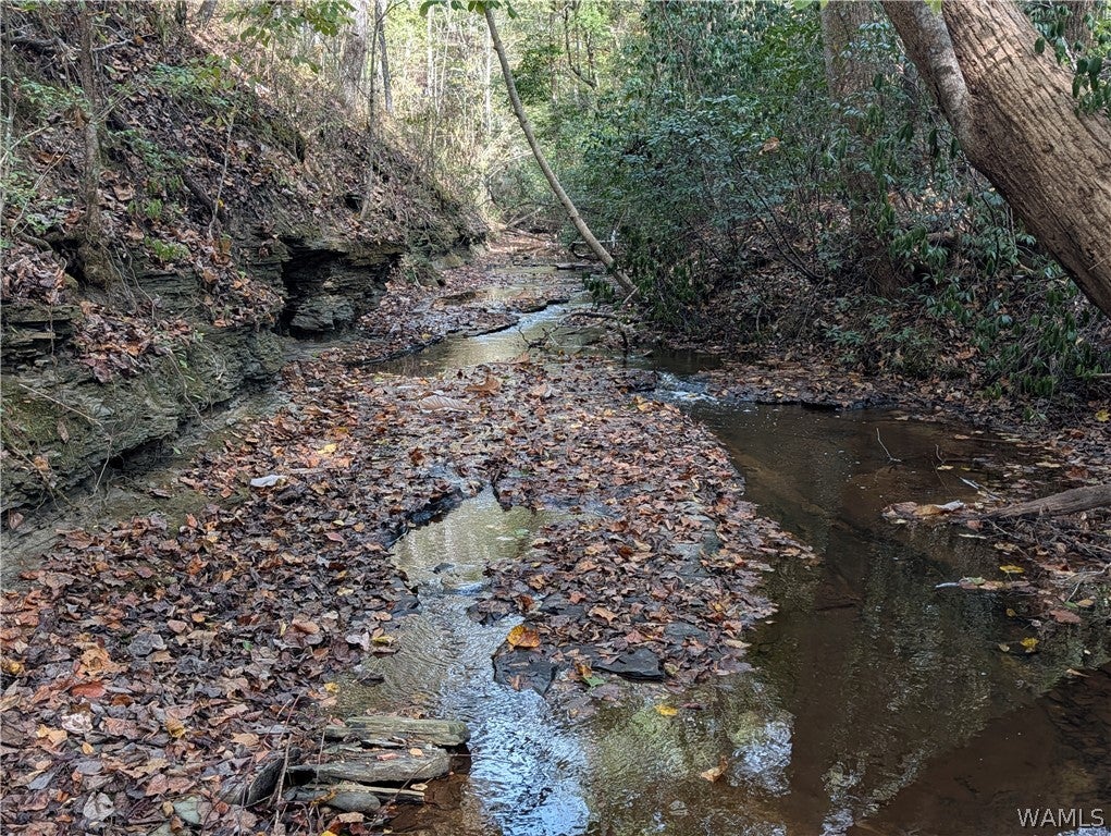 0 County Road 93