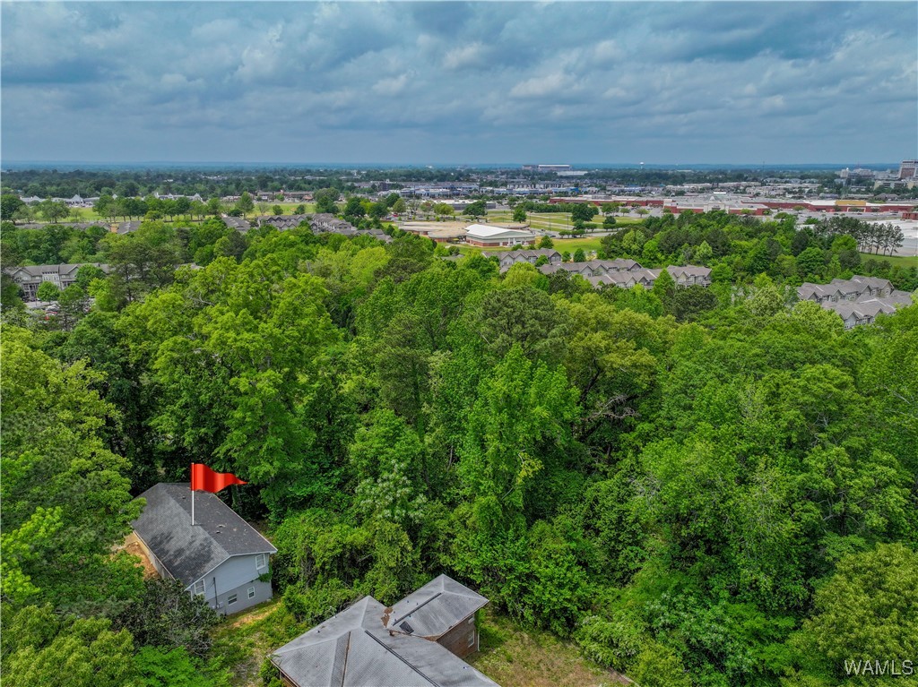 7 Hickory Lane, Tuscaloosa, Alabama image 6