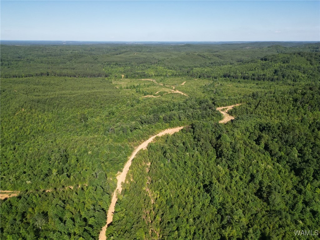 00 Nubbin Ridge Ln., Carbon Hill, Alabama image 9