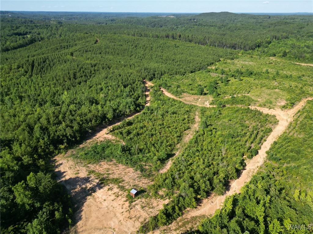 00 Nubbin Ridge Ln., Carbon Hill, Alabama image 16
