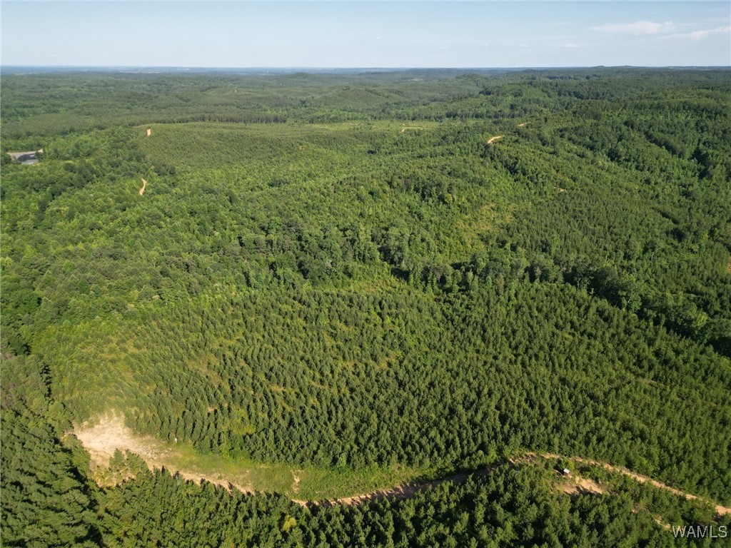 00 Nubbin Ridge Ln., Carbon Hill, Alabama image 2
