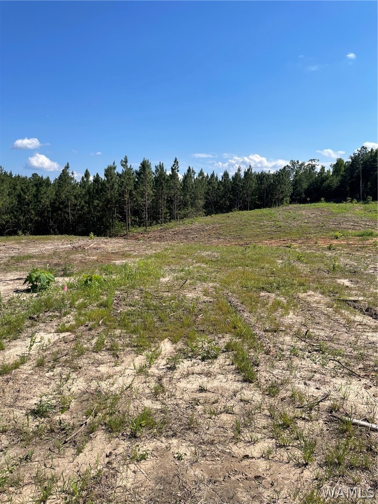 Lot 4 Longleaf