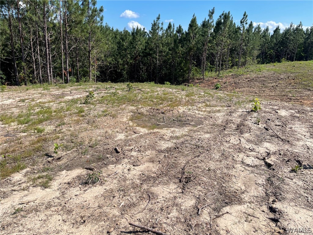 Lot 4 Longleaf