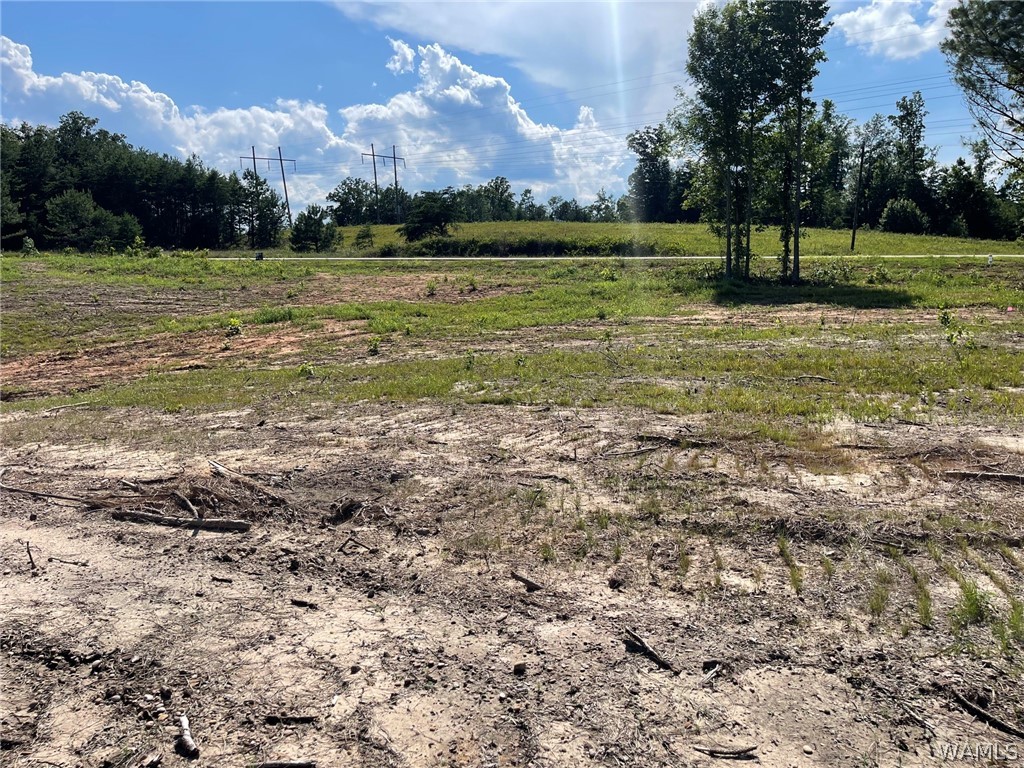 Lot 4 Longleaf