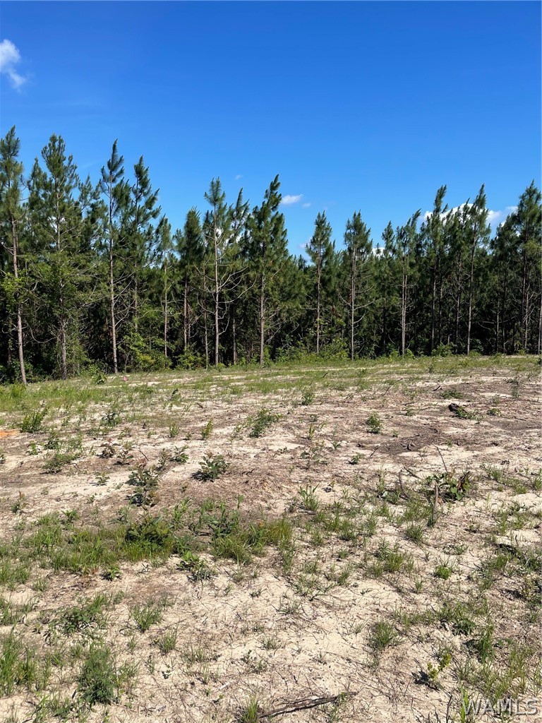 Lot 4 Longleaf