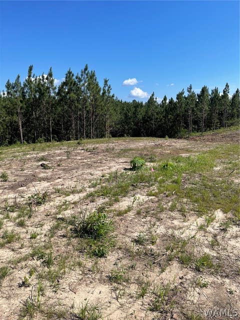 Vacant Land For Sale - LOT 4 Longleaf<br/> Tuscaloosa County, Tuscaloosa, AL 35406