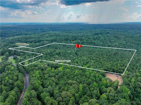 Vacant Land For Sale - Martin/martin Spur Road<br/> North Port, AL 35475