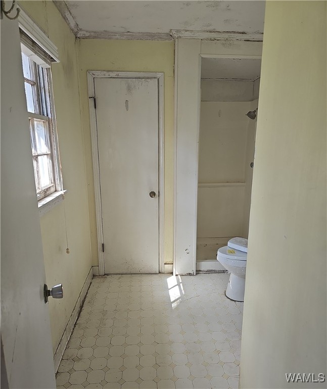 4500 Orion Avenue, North Port, Alabama image 6