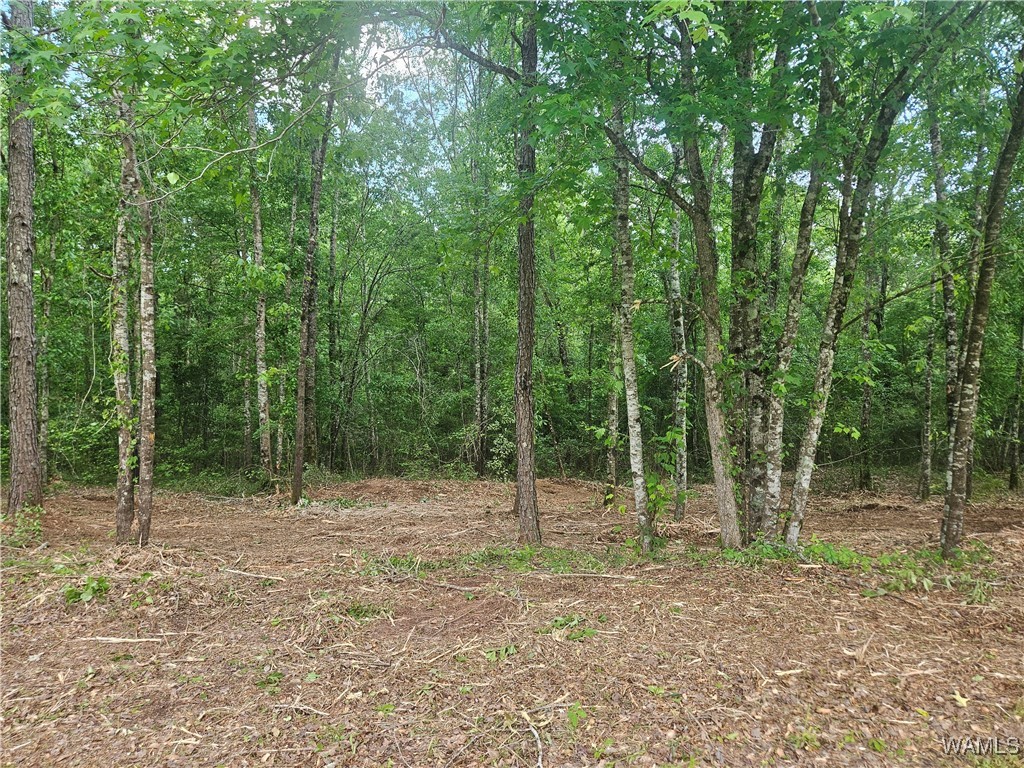 Lot 14/15 Magnolia Creek, Gordo, Alabama image 1
