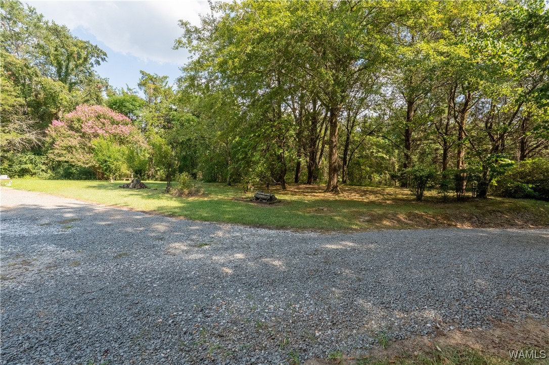 11905 County Line Road, Moundville, Alabama image 43