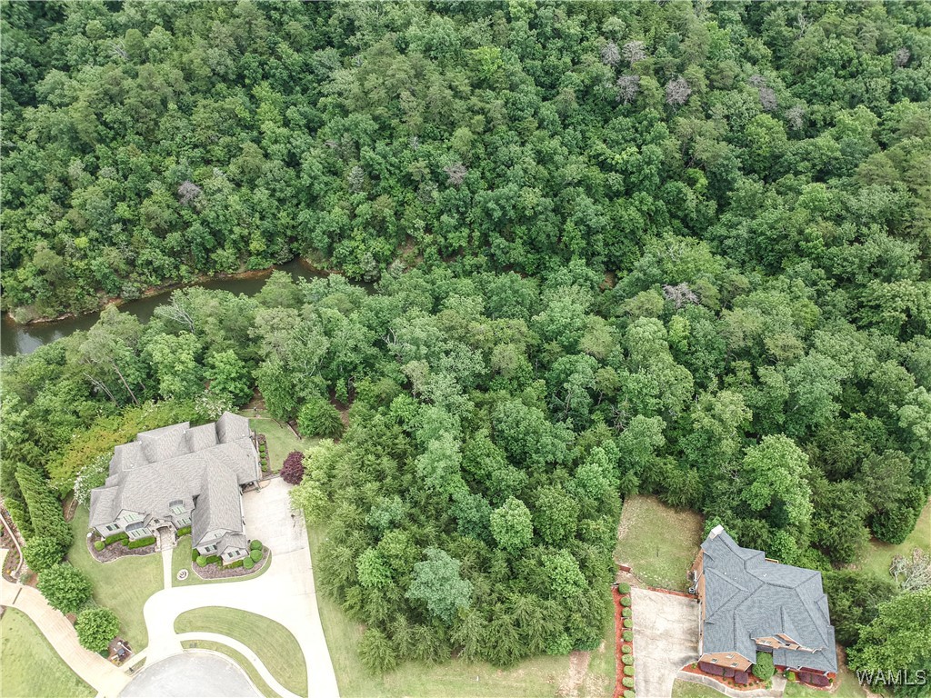 1755 Lake Haven Circle, Tuscaloosa, Alabama image 6