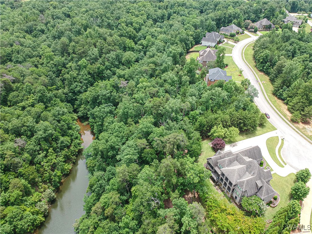 1755 Lake Haven Circle, Tuscaloosa, Alabama image 7