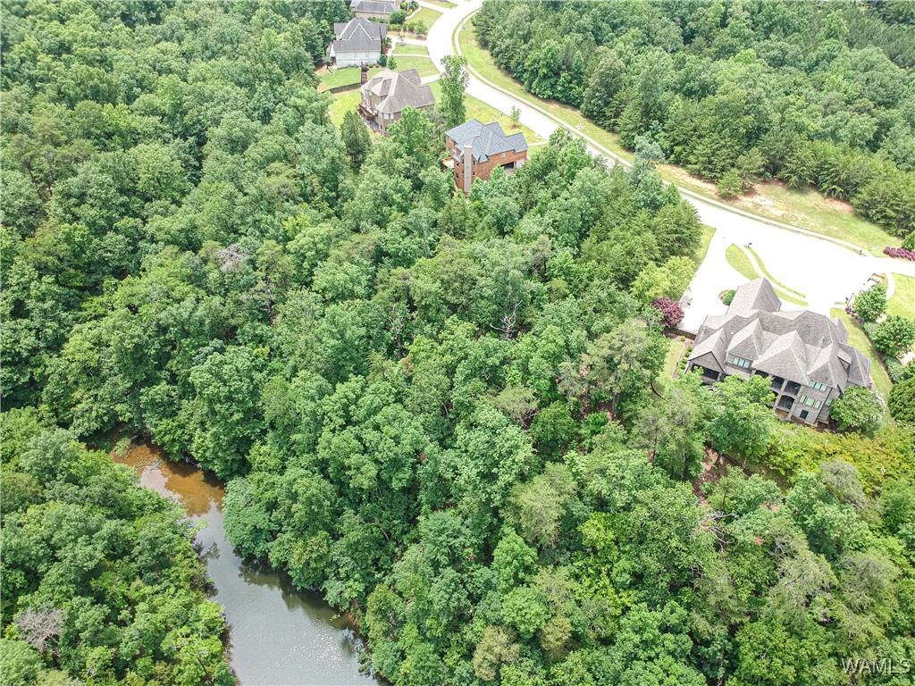 1755 Lake Haven Circle, Tuscaloosa, Alabama image 4