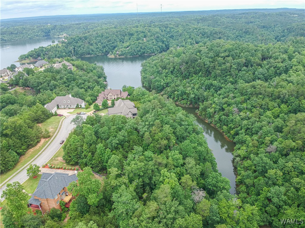 1755 Lake Haven Circle, Tuscaloosa, Alabama image 5