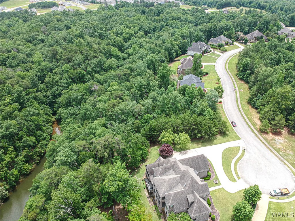 1755 Lake Haven Circle, Tuscaloosa, Alabama image 8