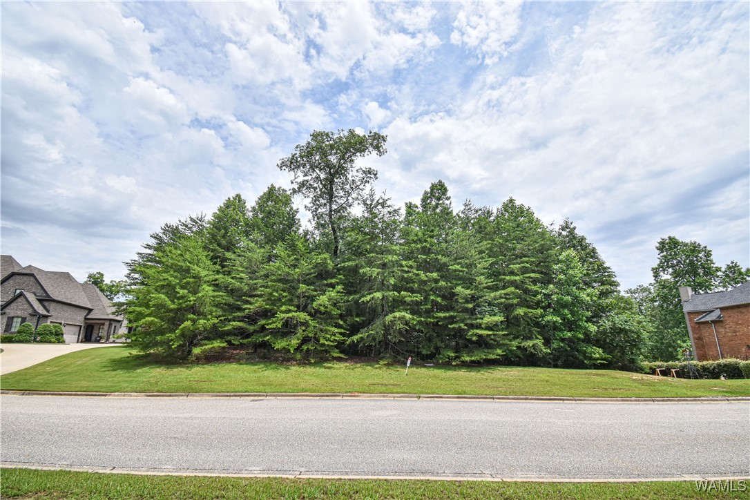 1755 Lake Haven Circle, Tuscaloosa, Alabama image 10
