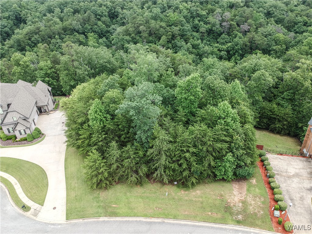 1755 Lake Haven Circle, Tuscaloosa, Alabama image 1