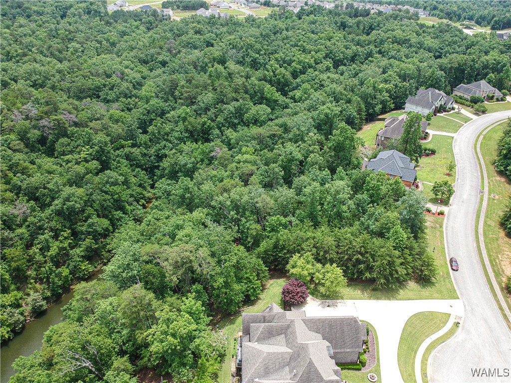 1755 Lake Haven Circle, Tuscaloosa, Alabama image 9
