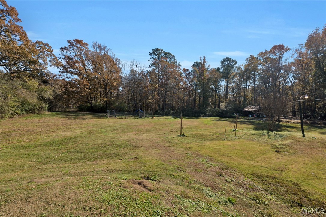 11650 Highway 69, Oakman, Alabama image 33