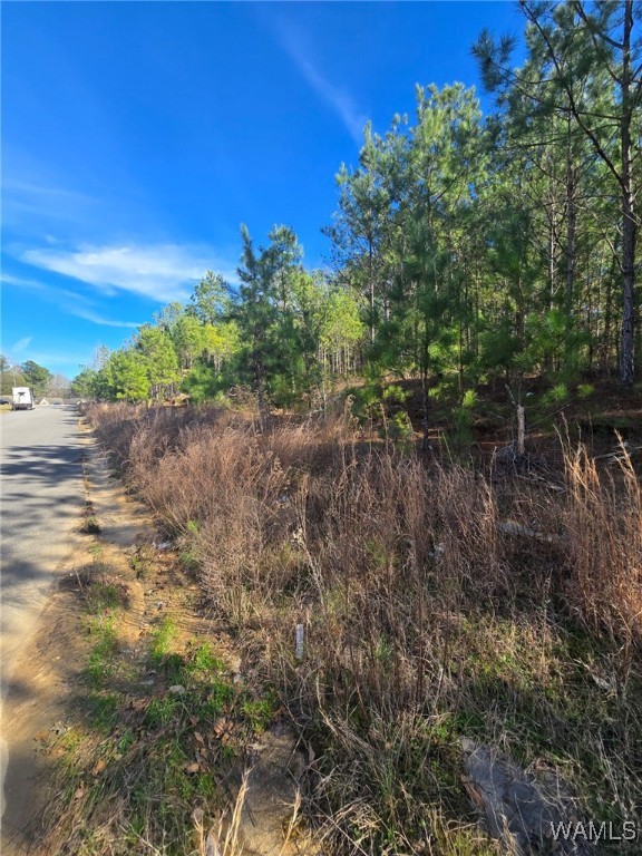 28 Timbertop Lane, Fosters, Alabama image 1