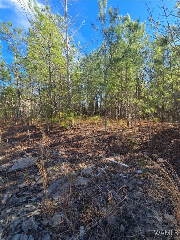 28 Timbertop Lane, Fosters, Alabama image 2
