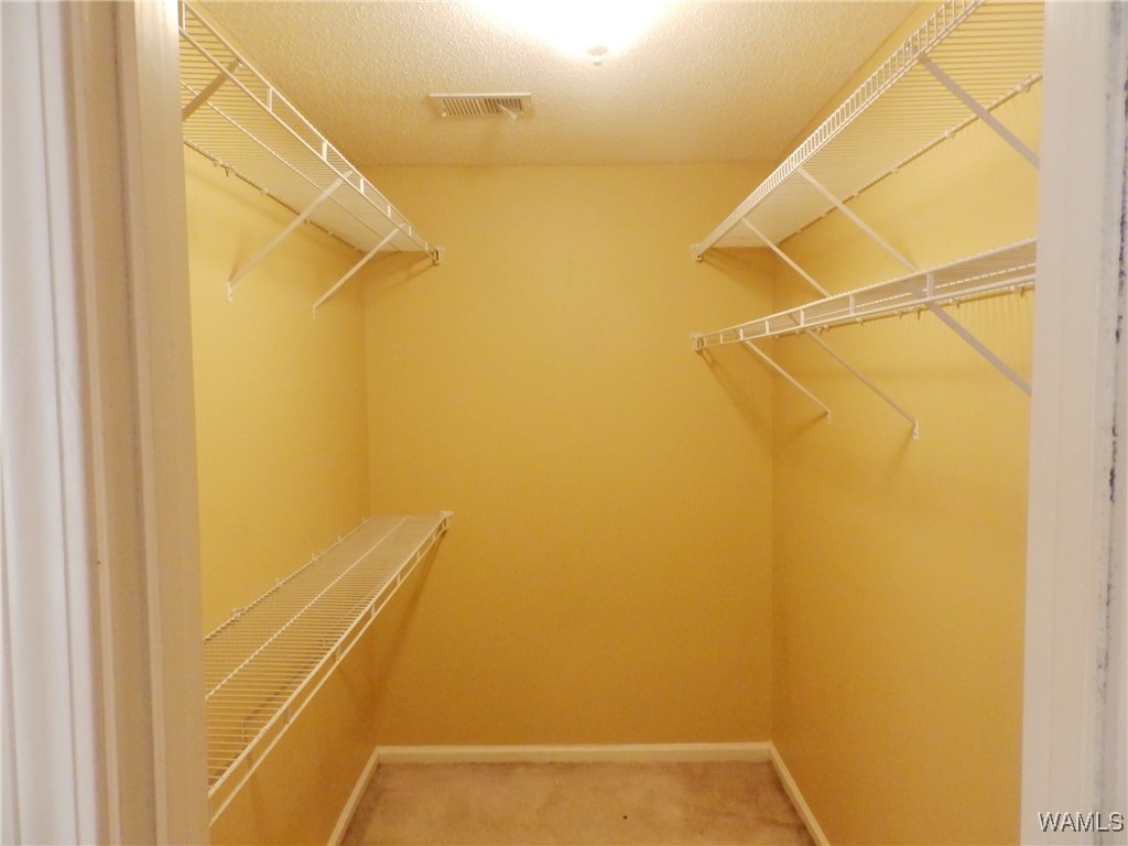 16357 Chase Circle, Ralph, Alabama image 20