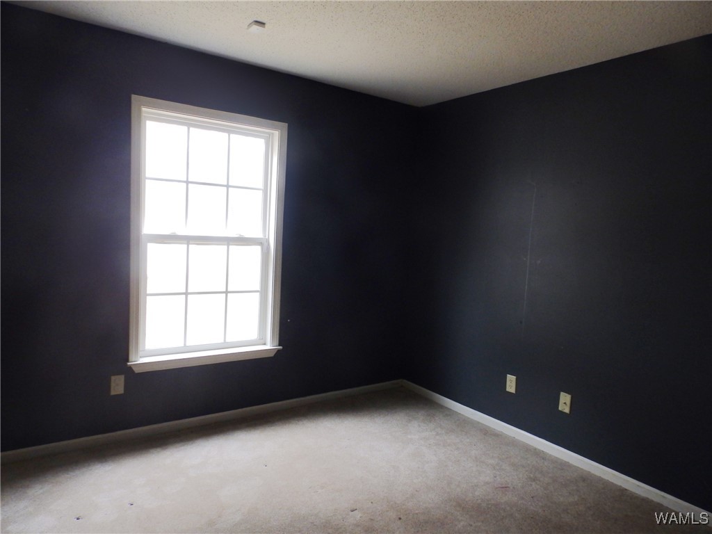 16357 Chase Circle, Ralph, Alabama image 14