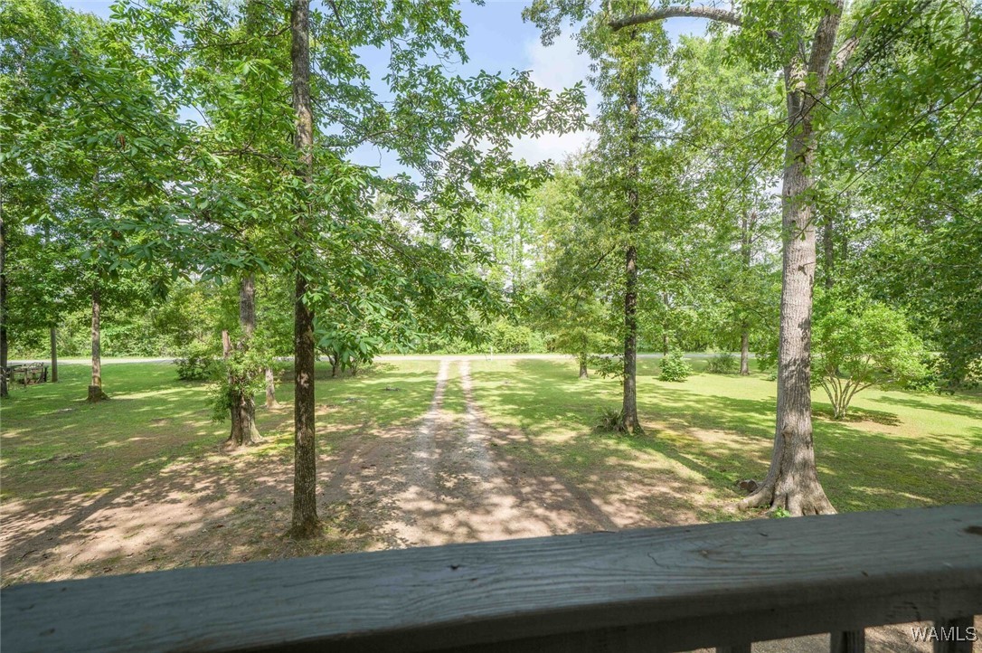 505 Jennings Ferry Road, Akron, Alabama image 24