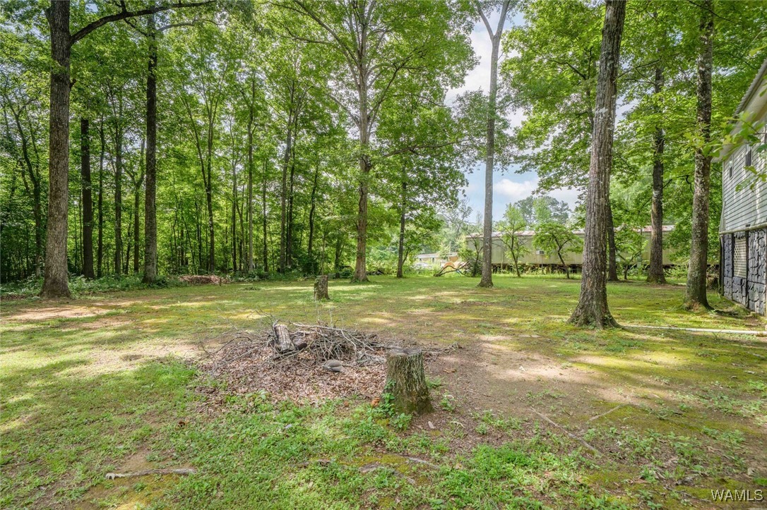 505 Jennings Ferry Road, Akron, Alabama image 30