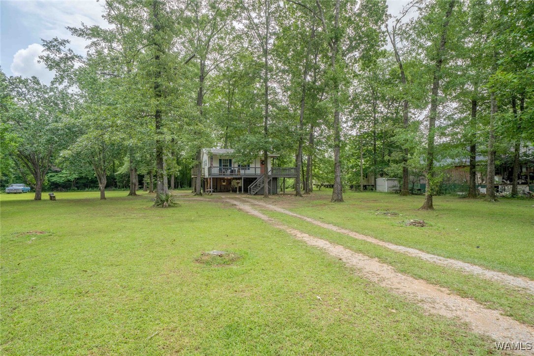 505 Jennings Ferry Road, Akron, Alabama image 34