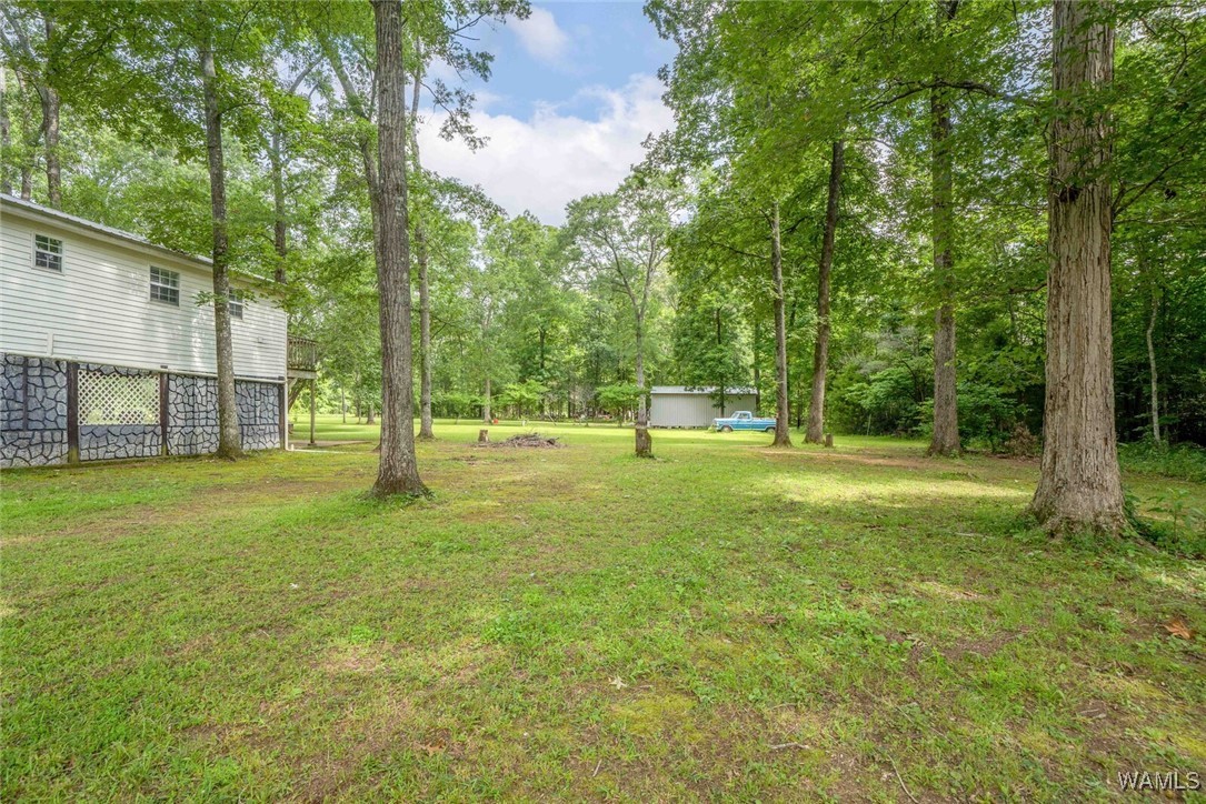 505 Jennings Ferry Road, Akron, Alabama image 32