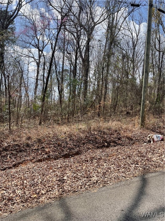 Lot 51 & 52 Oakhill Drive, North Port, Alabama image 1