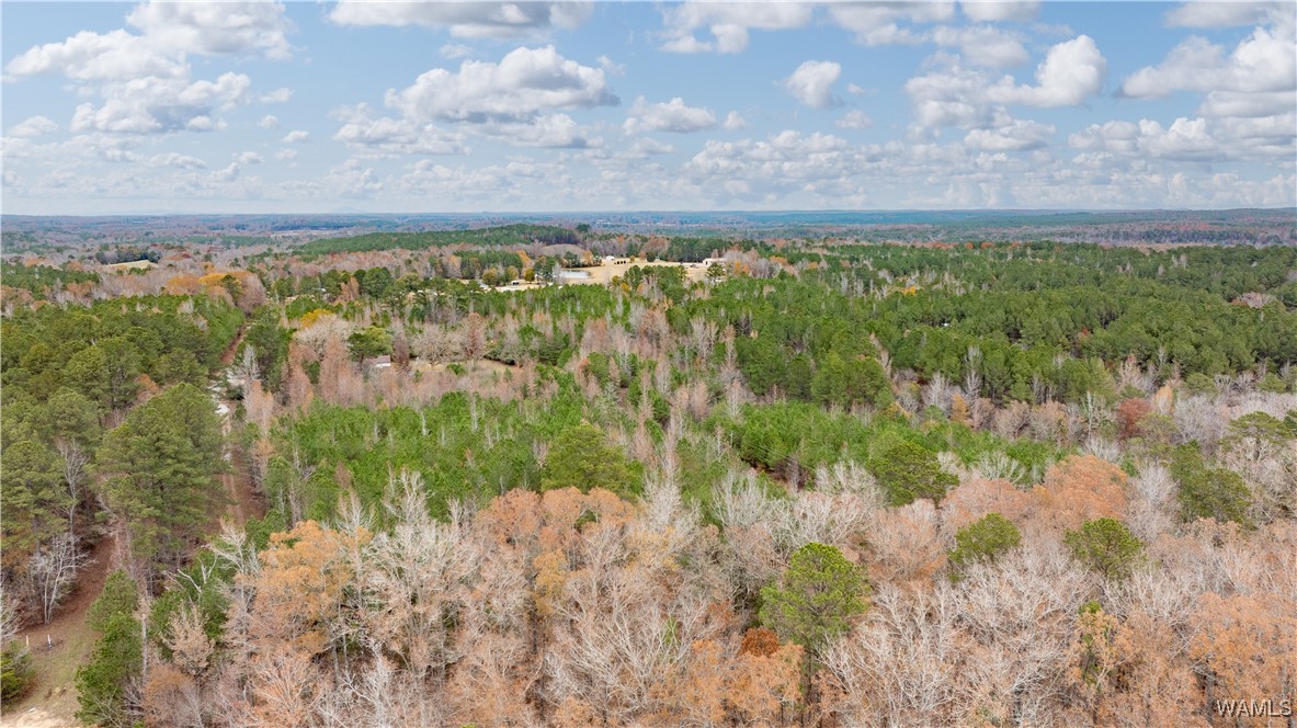 Lot 1&2 John Swindle Road, North Port, Alabama image 13