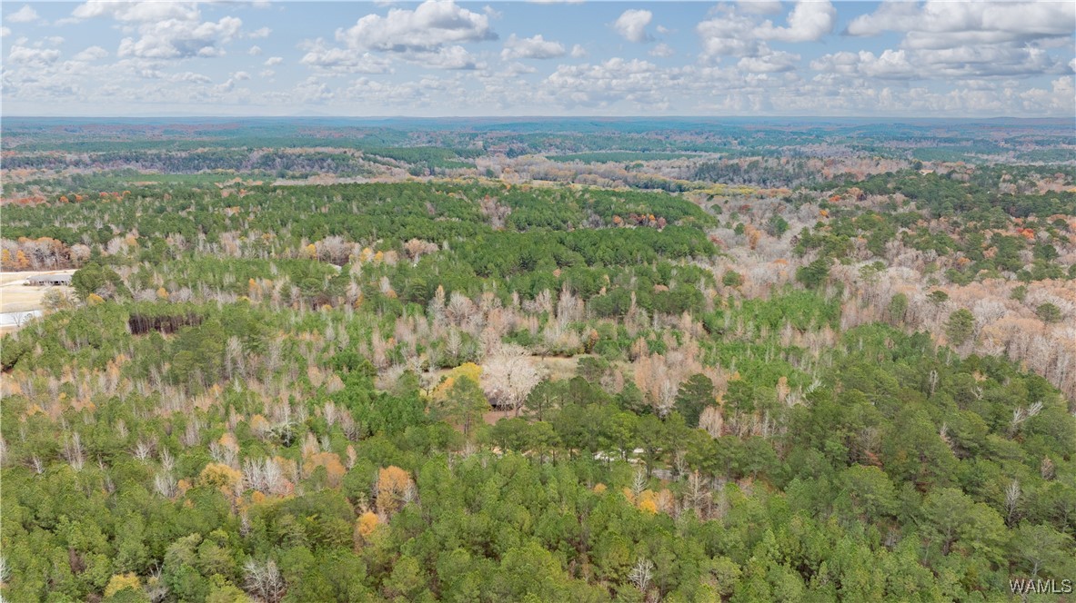 Lot 1&2 John Swindle Road, North Port, Alabama image 9