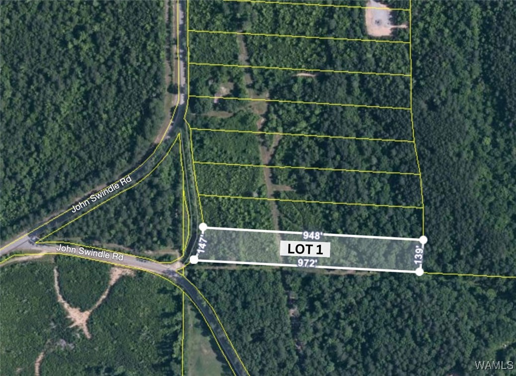 Lot 1&2 John Swindle Road, North Port, Alabama image 2