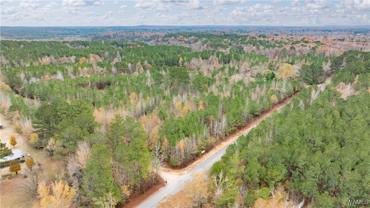 Lot 1&2 John Swindle Road, North Port, Alabama image 16