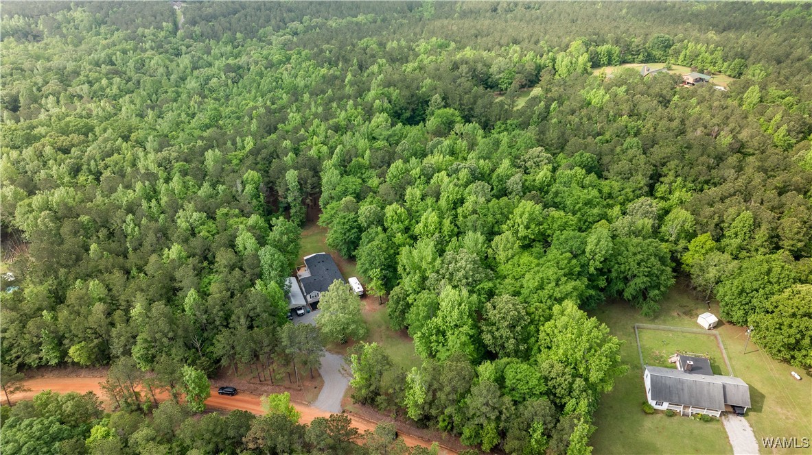 14408 Paul Mills Rd Rd, Buhl, Alabama image 35