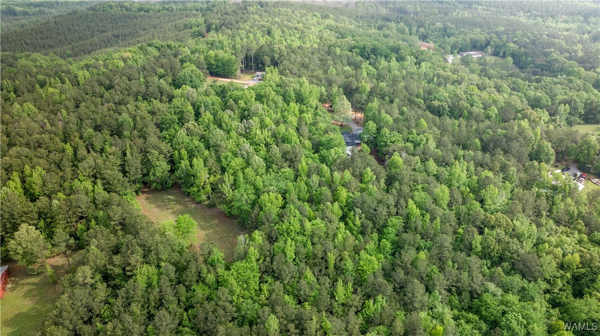 14408 Paul Mills Rd Rd, Buhl, Alabama image 37