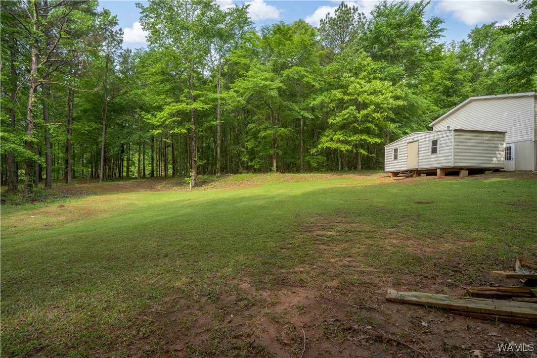 14408 Paul Mills Rd Rd, Buhl, Alabama image 31