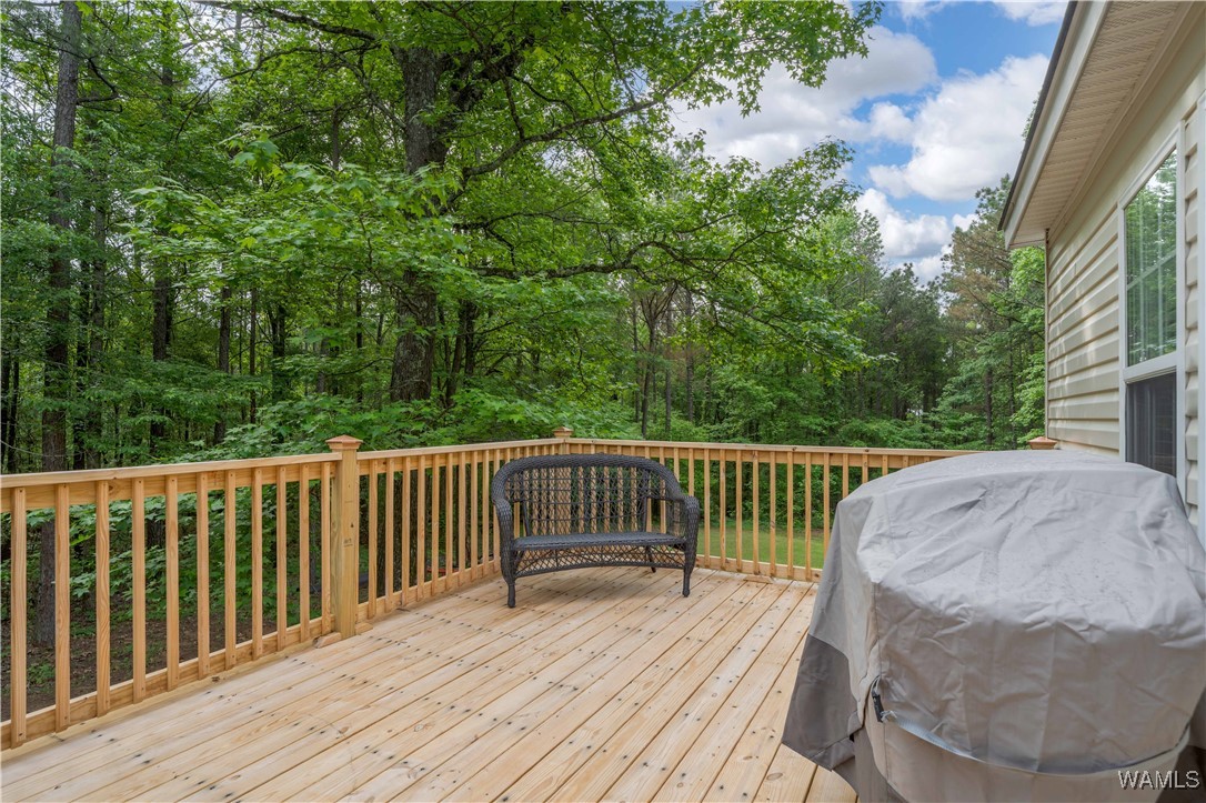 14408 Paul Mills Rd Rd, Buhl, Alabama image 48