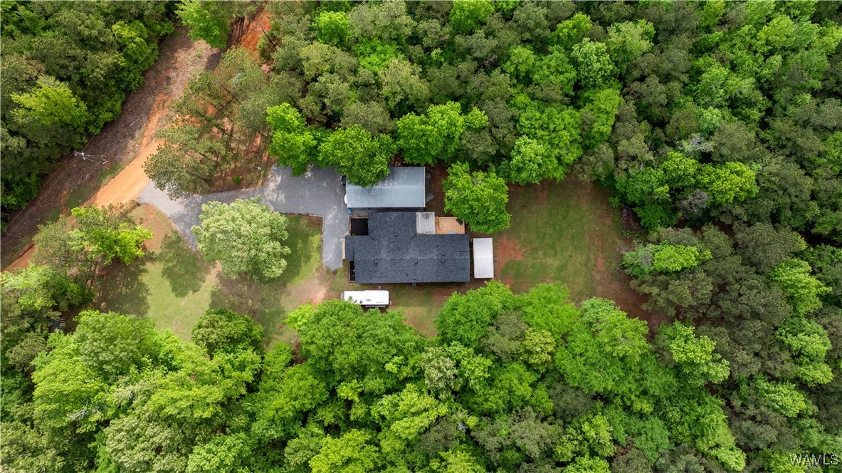 14408 Paul Mills Rd Rd, Buhl, Alabama image 9