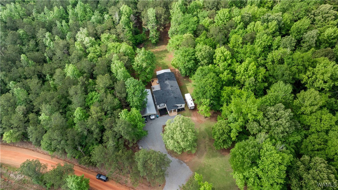 14408 Paul Mills Rd Rd, Buhl, Alabama image 11