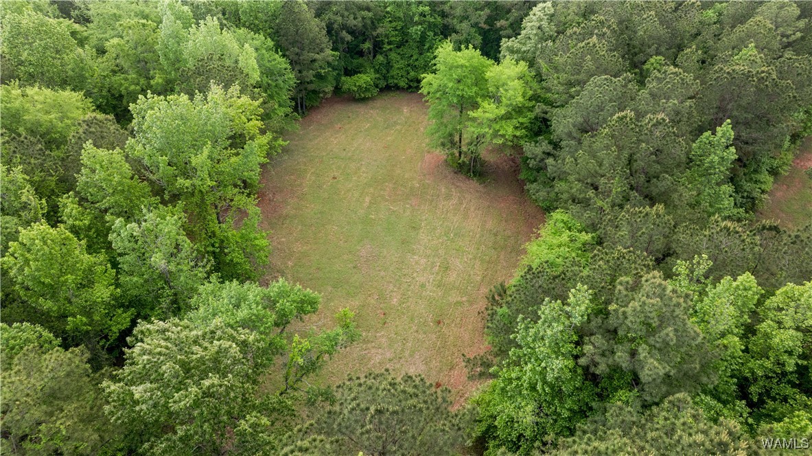 14408 Paul Mills Rd Rd, Buhl, Alabama image 33