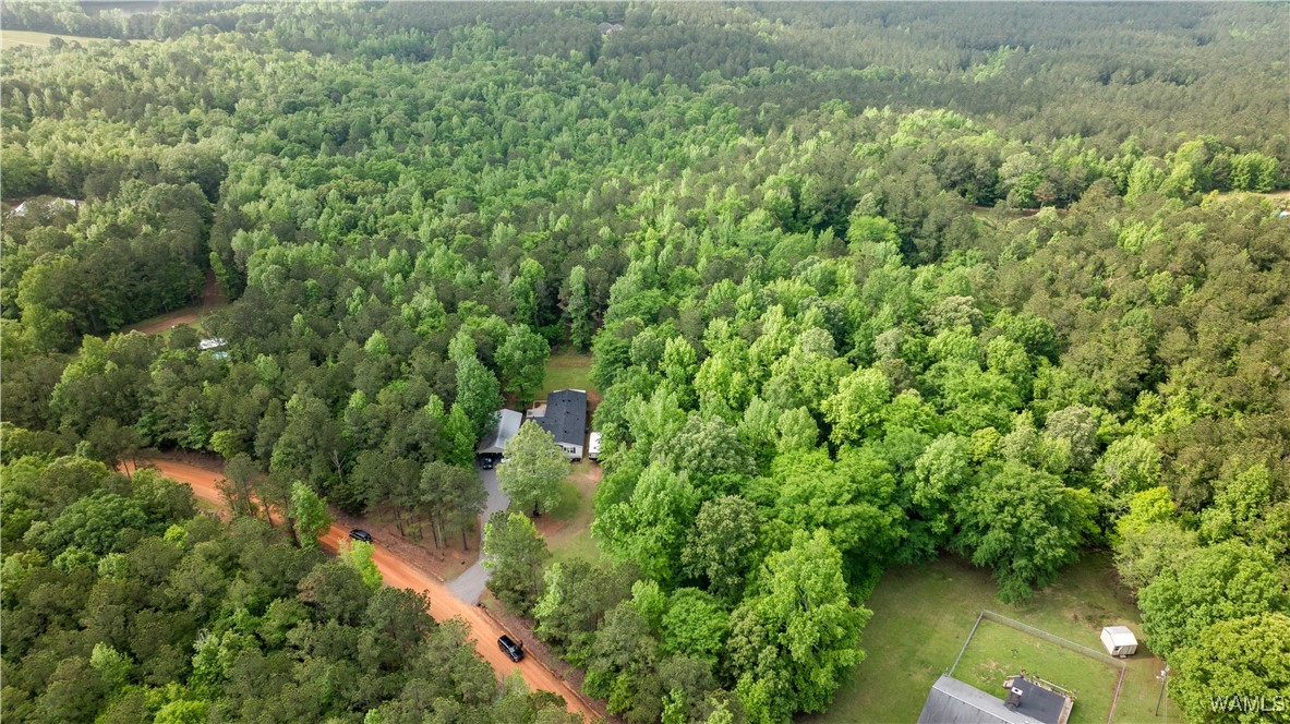 14408 Paul Mills Rd Rd, Buhl, Alabama image 13