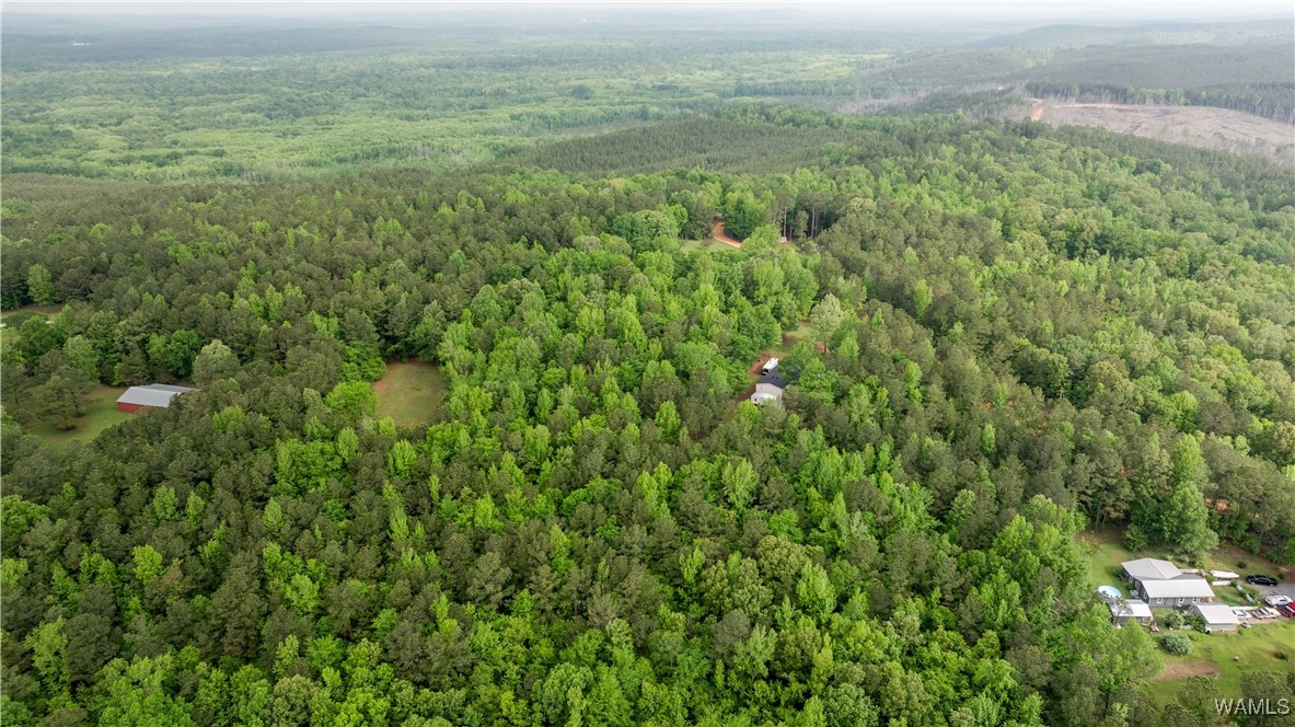 14408 Paul Mills Rd Rd, Buhl, Alabama image 34